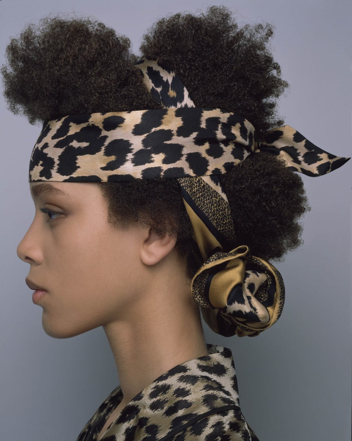 Dior Foulards_007 (1200×1500)