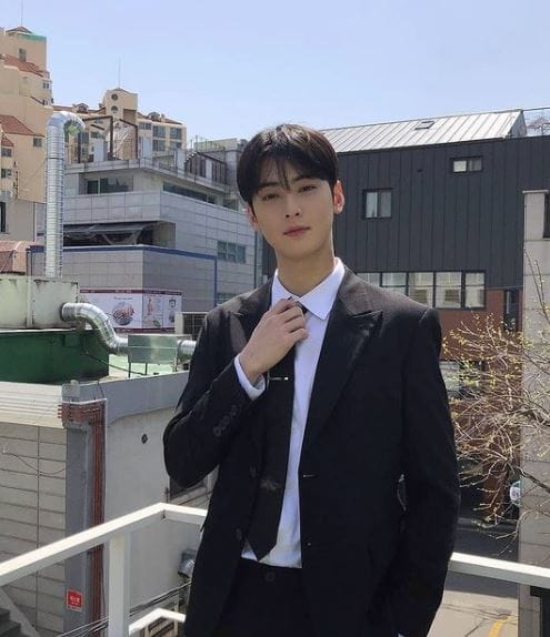 车银优 Cha Eun Woo