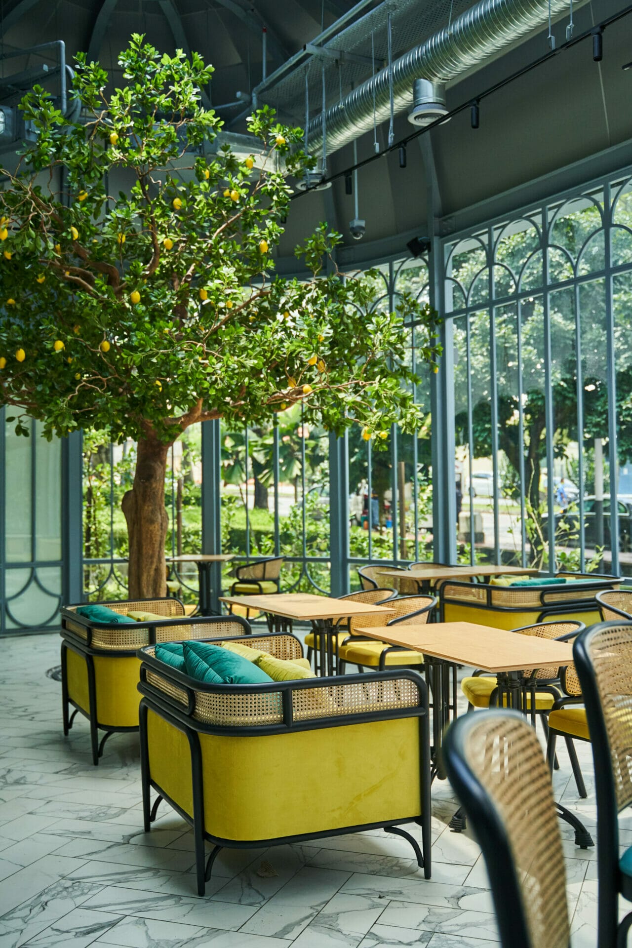 The Lemon Tree Cafe (1)