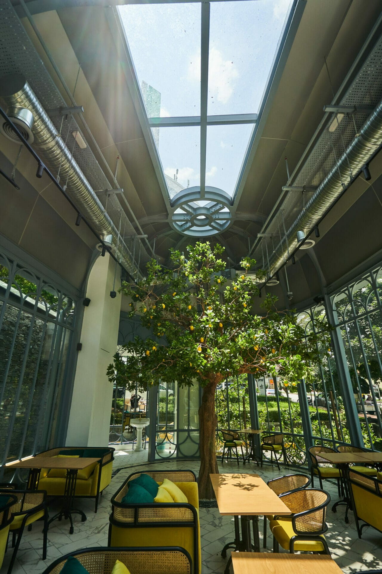 The Lemon Tree Cafe (4)