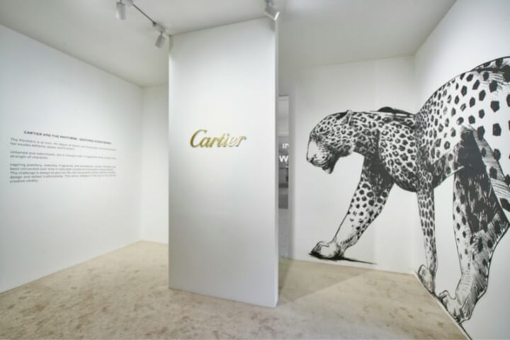 进入卡地亚Into The Wild体验馆，解开美洲豹身世