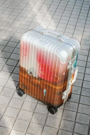 Rimowa x Palace