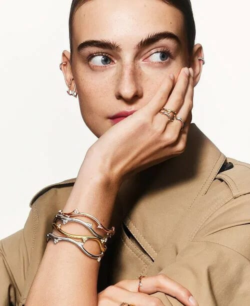 la rose dior la rose dior