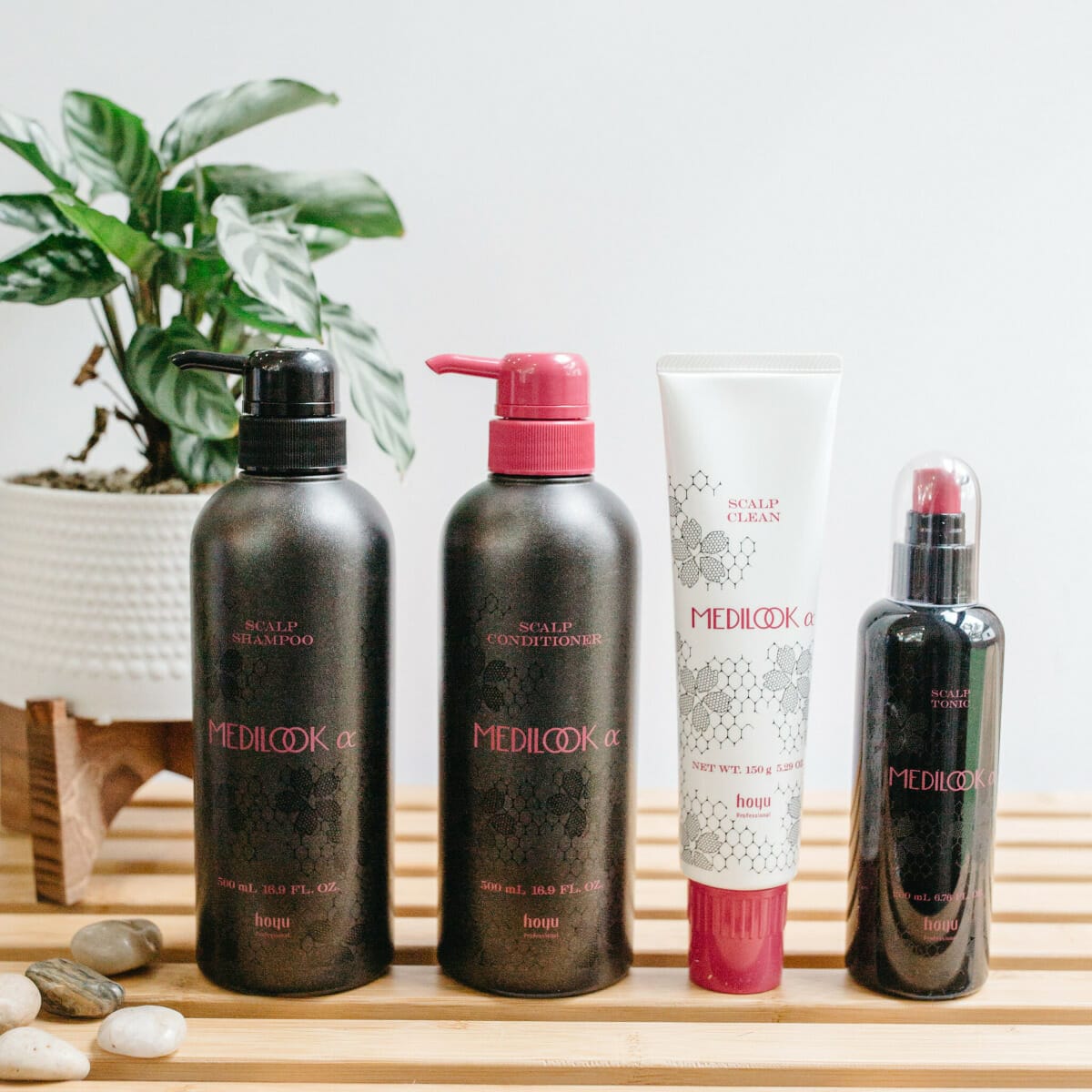 Hair Care and Scalp Hair Care and Scalp