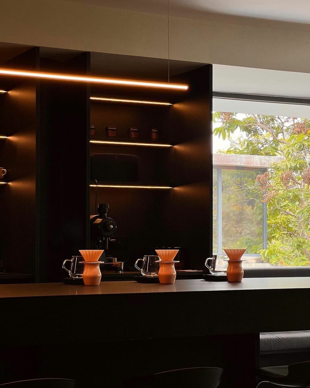 Afloat Coffee Roaster 2