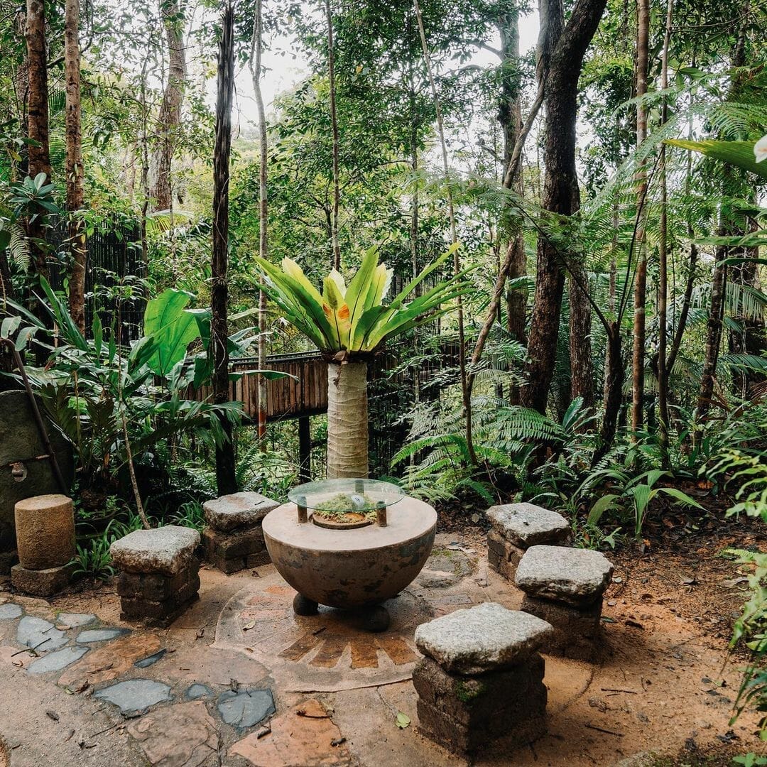 kopi hutan
