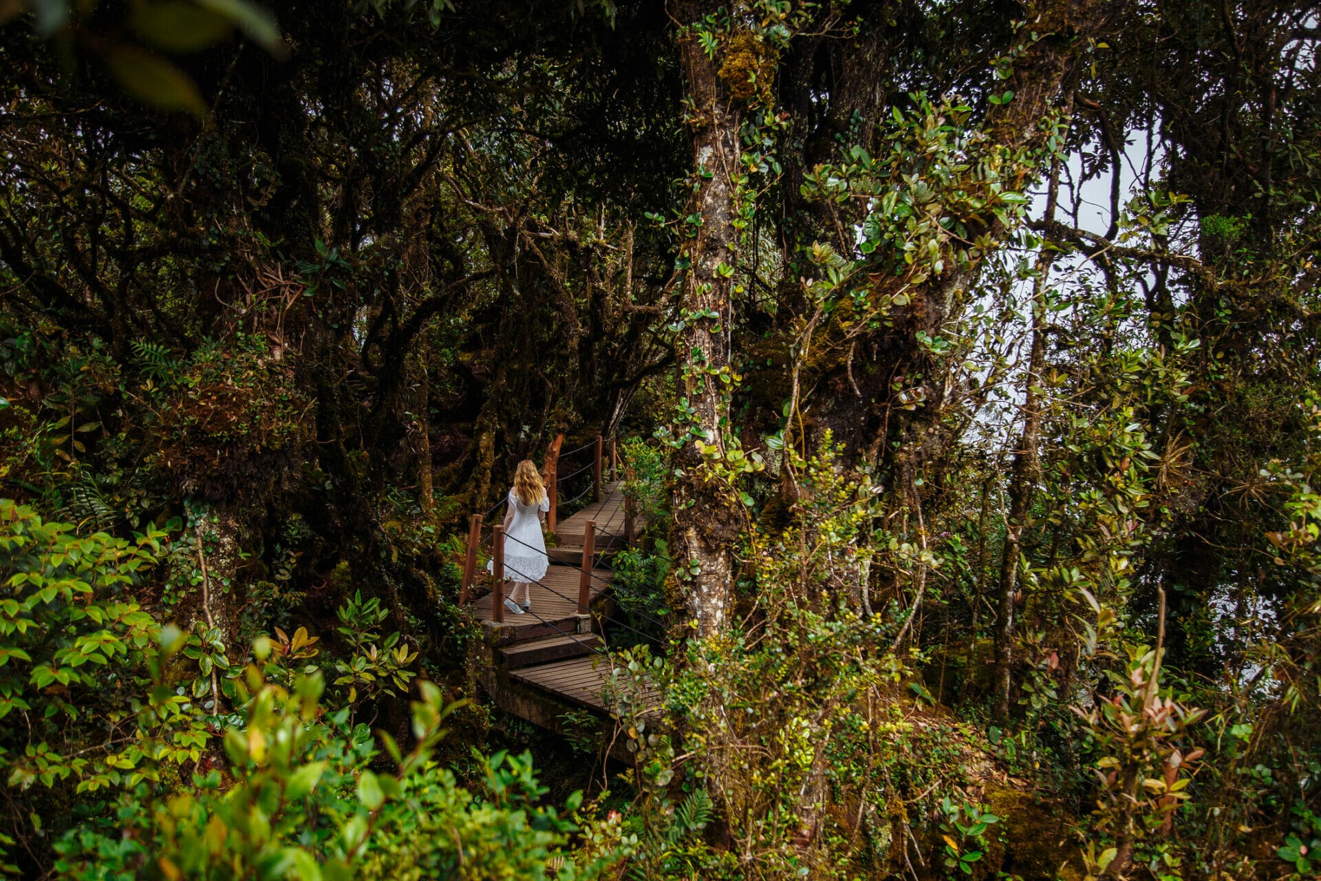 malaysia natural attractions malaysia natural attractions