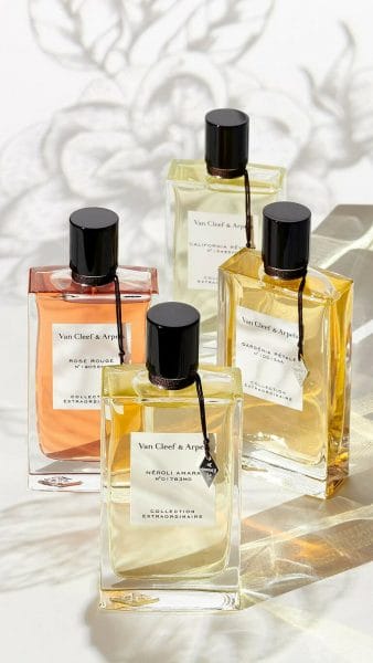 iconpicks latest fragrances