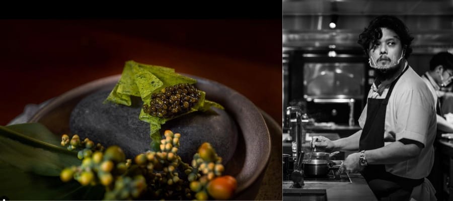 The Michelin Guide 2024