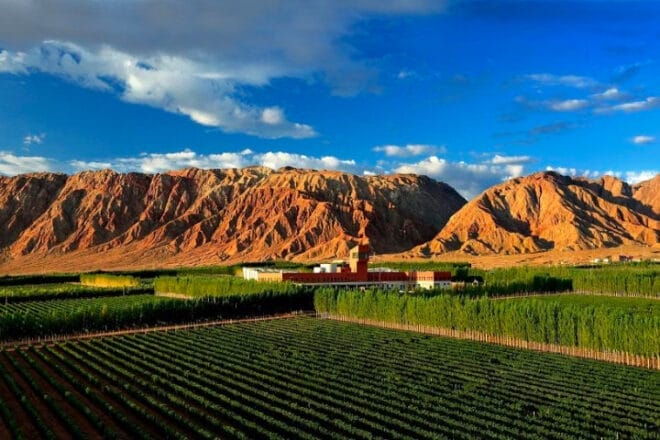 meiyu li female sommelier meiyu li female sommelier