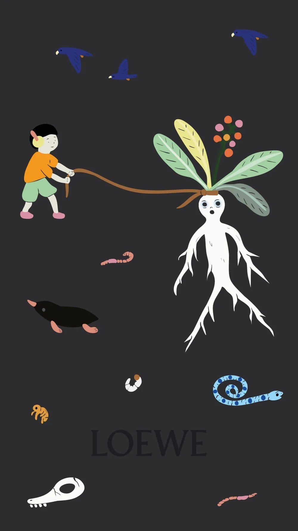 XMAS2023-SS24_SUNA-FUJITA_CRM_WALLPAPERS_MANDRAKE