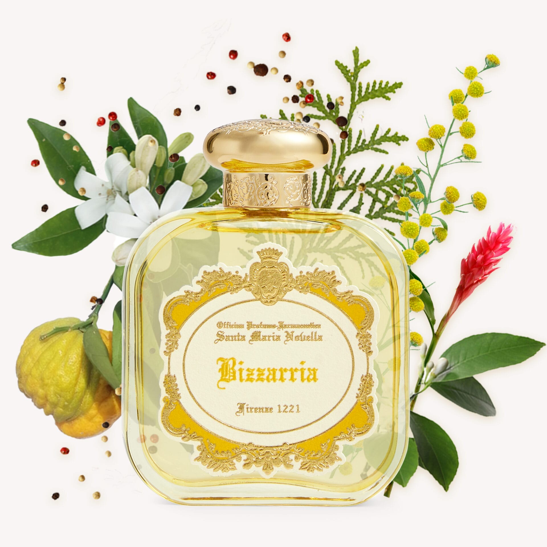 I GIARDINI MEDICEI BIZZARRIA Eau De Parfum (100 ml)