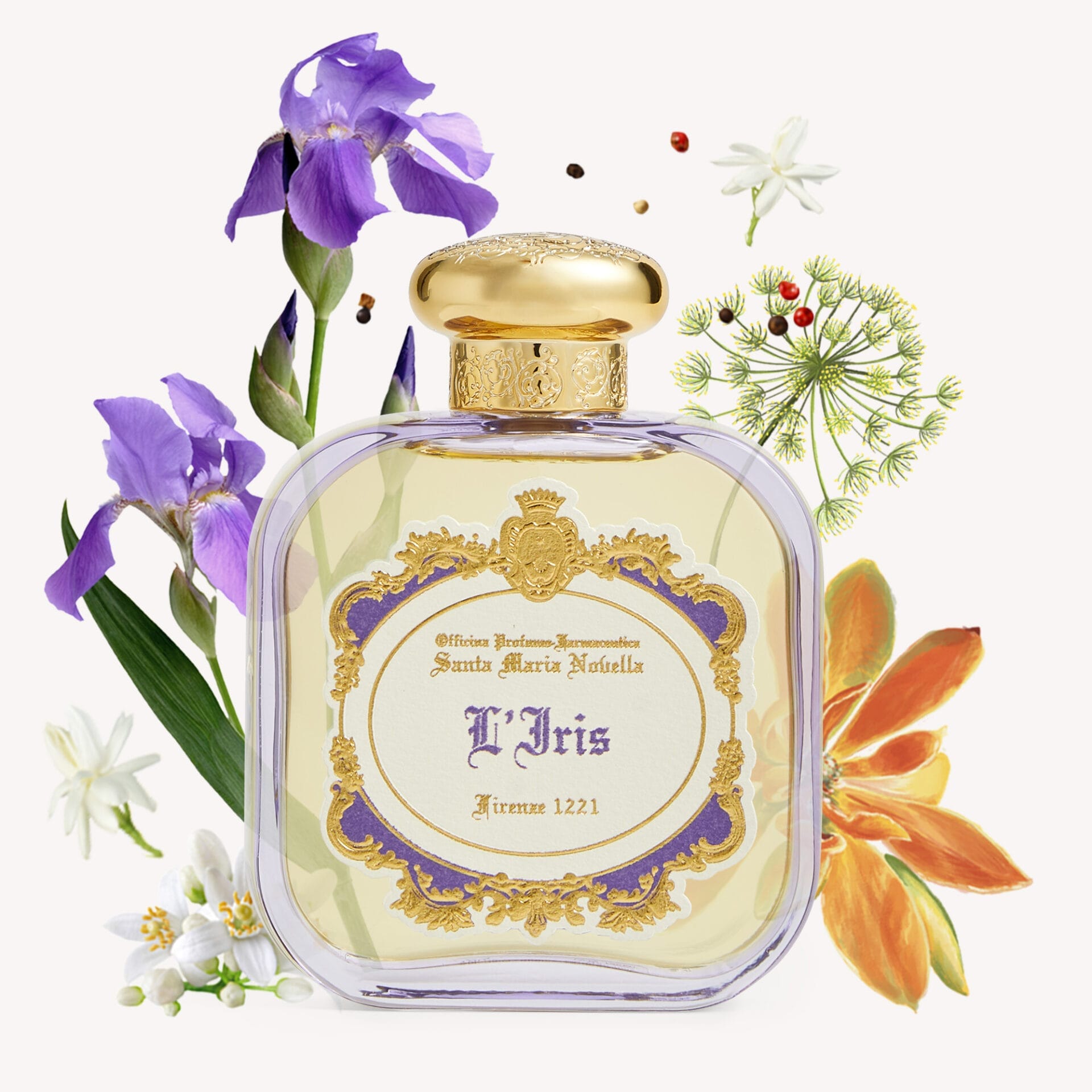 I GIARDINI MEDICEI IRIS Eau De Parfum (100 ml)