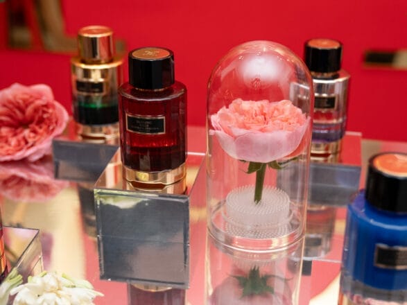 ICON x Carolina Herrera