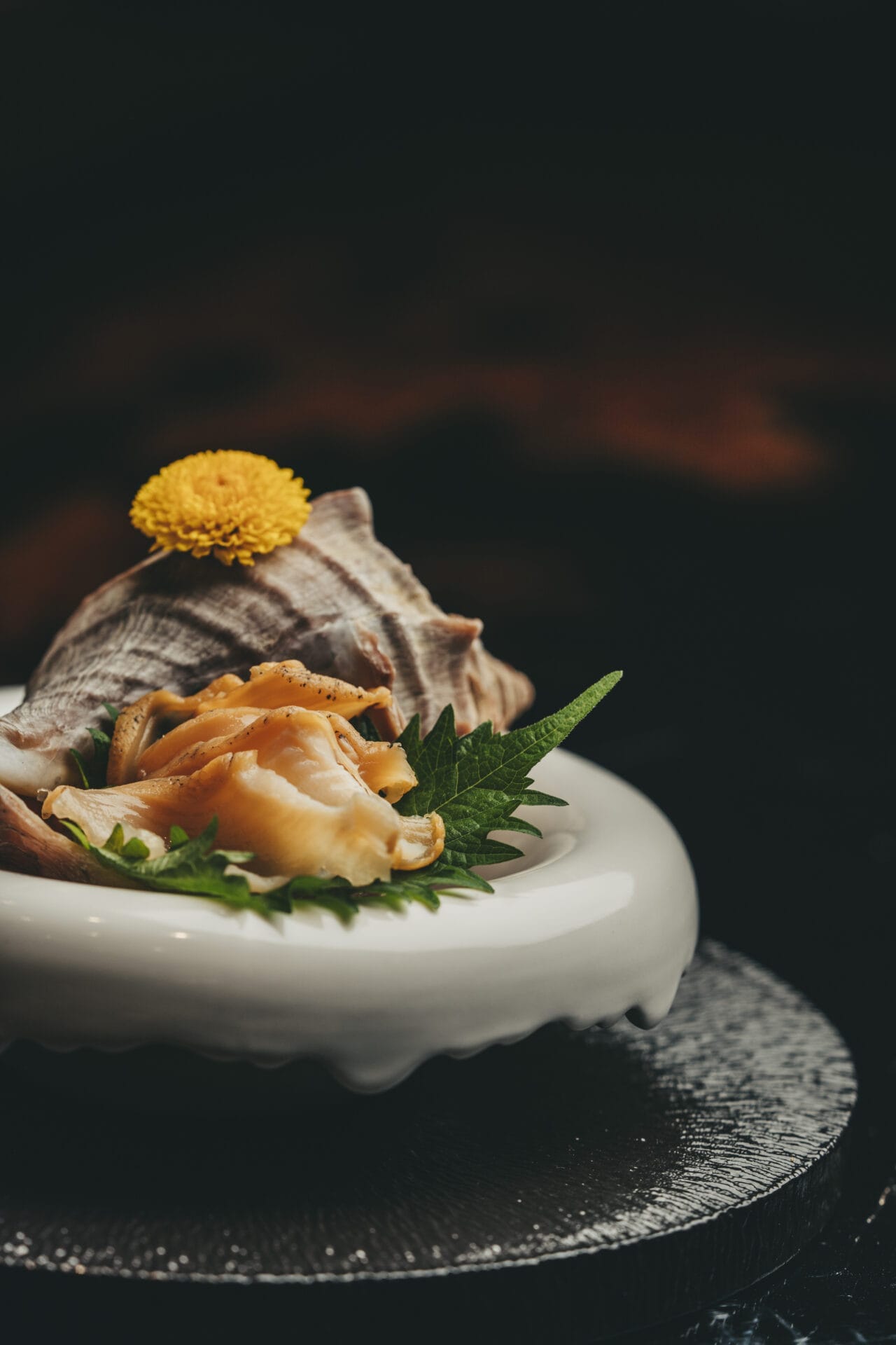 螺 – Shinjiru 09