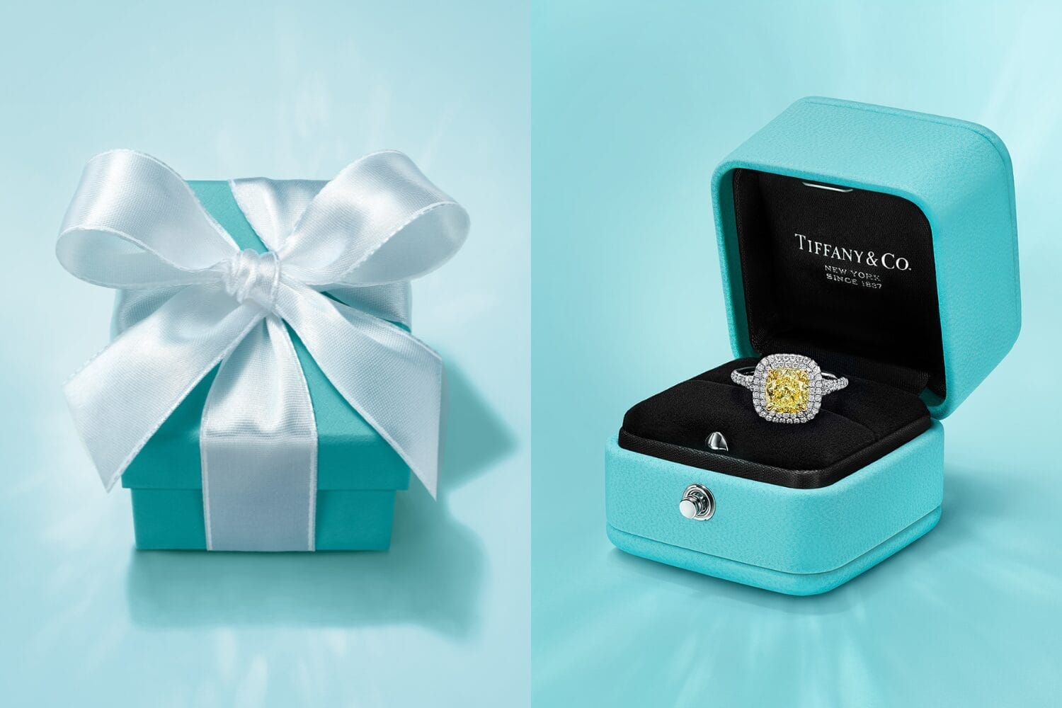 Tiffany & Co. 呈献感恩母爱的动人臻礼