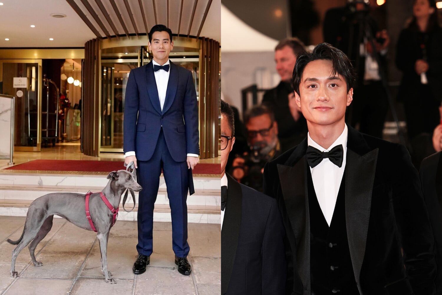 77th Cannes Film Festival 戛纳电影节红毯是时尚盛典