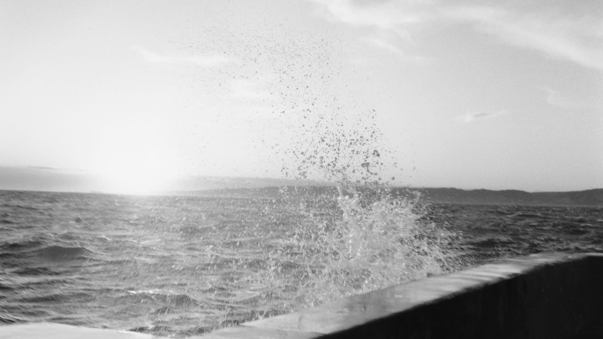 Photo by Jamie Hawkesworth_16-9 (9)