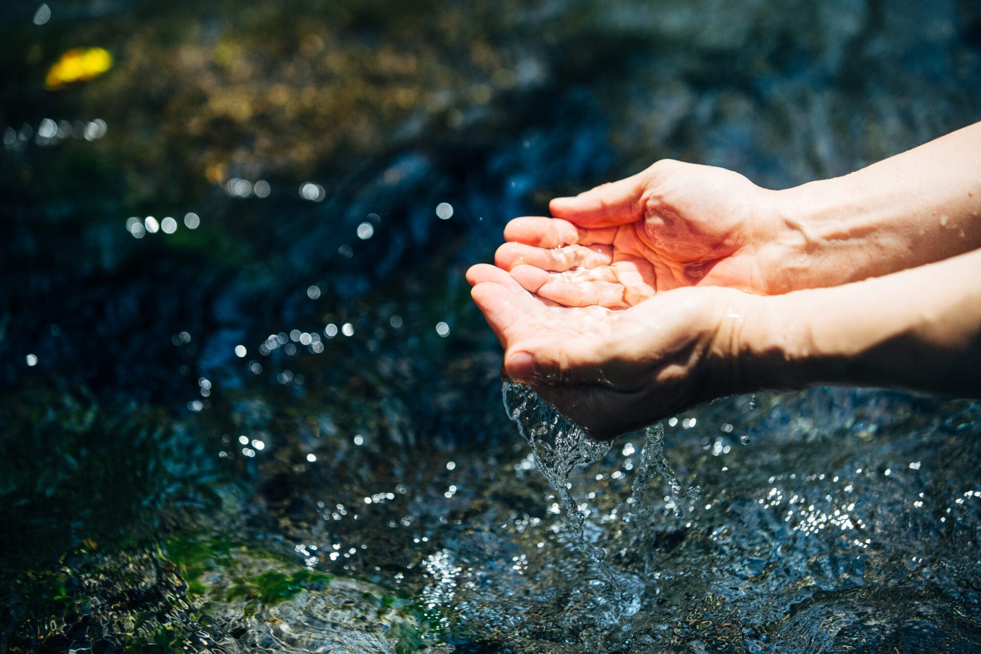 Japanese whisky Japanese whisky
