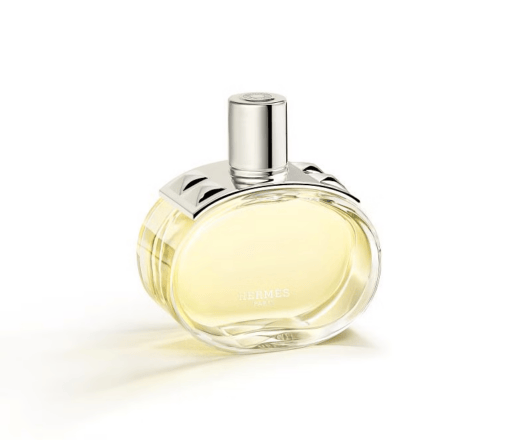 Discover The Latest Fragrances