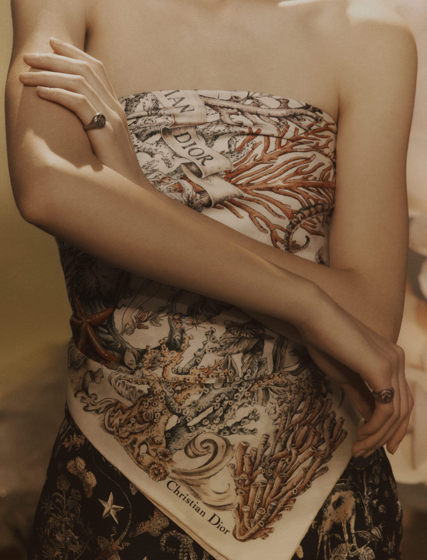 DIOR XMAS 2024 CAMPAIGN © AGNES LLOYD-PLATT 4