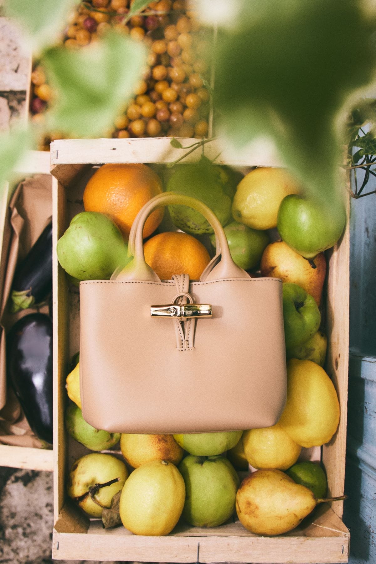 LE ROSEAU LONGCHAMP SUMMER 2025 23-2