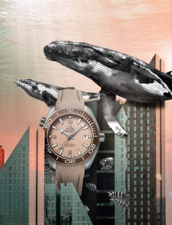 Best Diving Watches