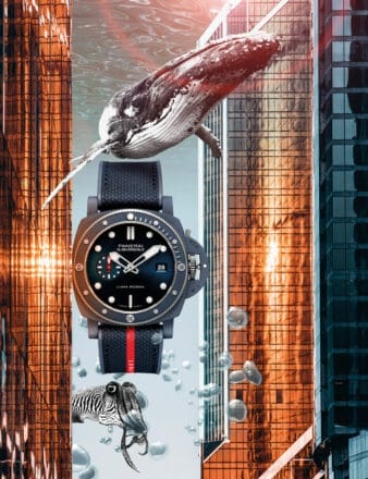 Best Diving Watches