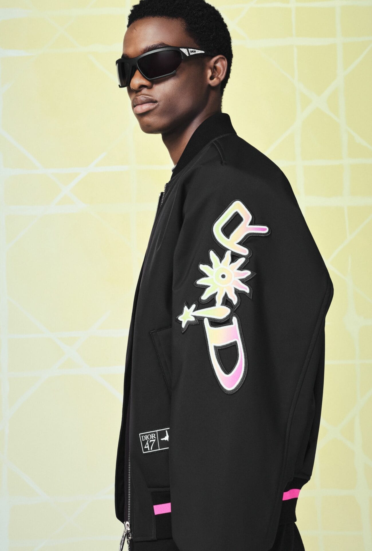 DIOR Lewis Hamilton 6