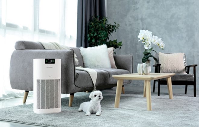 Air Purifier Malaysia Guide