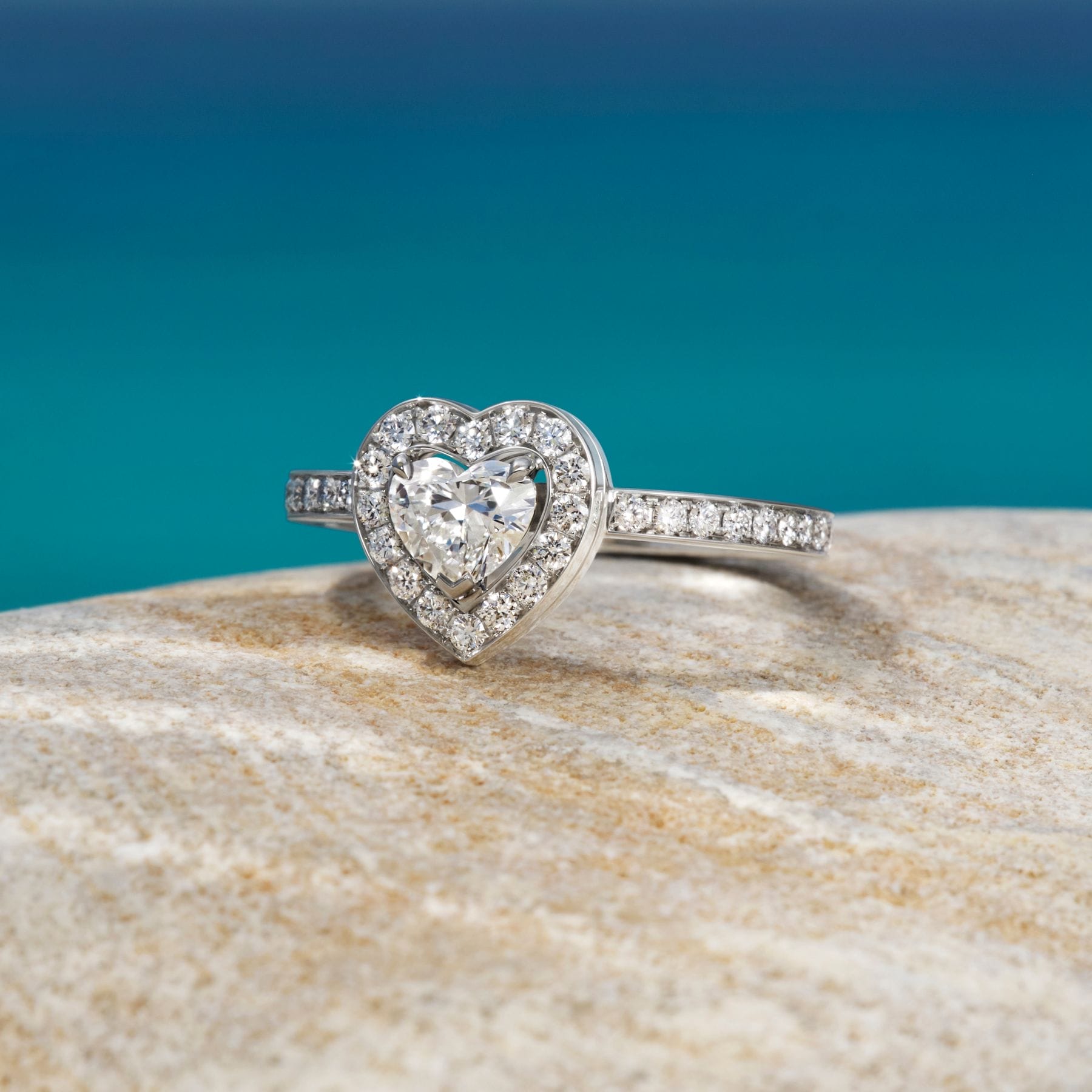 Fred Catch The Sun 2