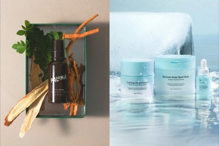 Malaysian Beauty Brands 2025