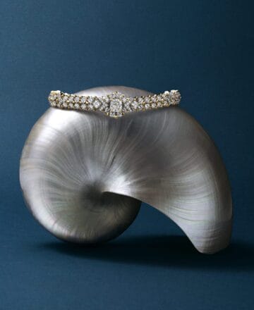 Tiffany & Co. 2025 Blue Book