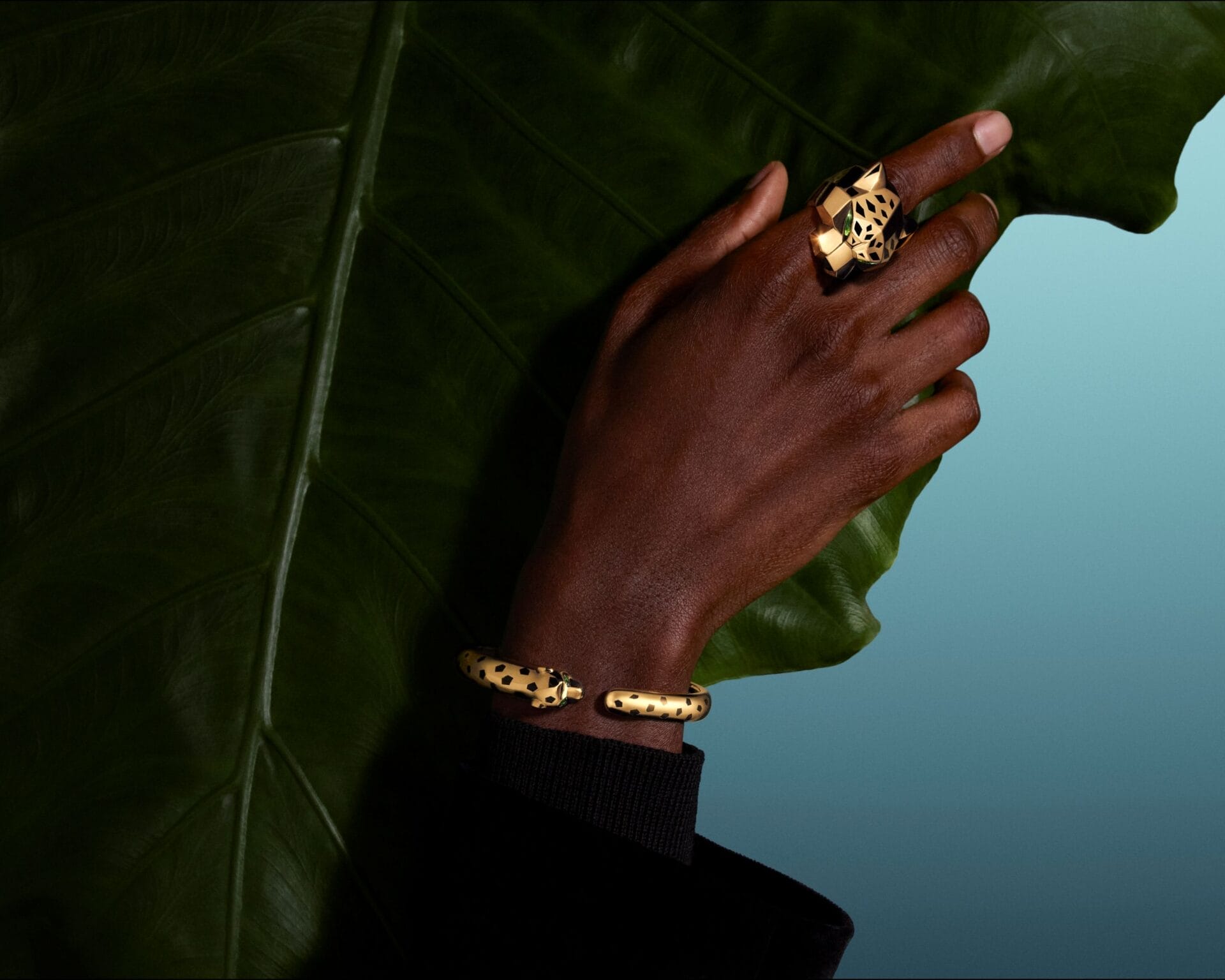 Panthère de Cartier 6