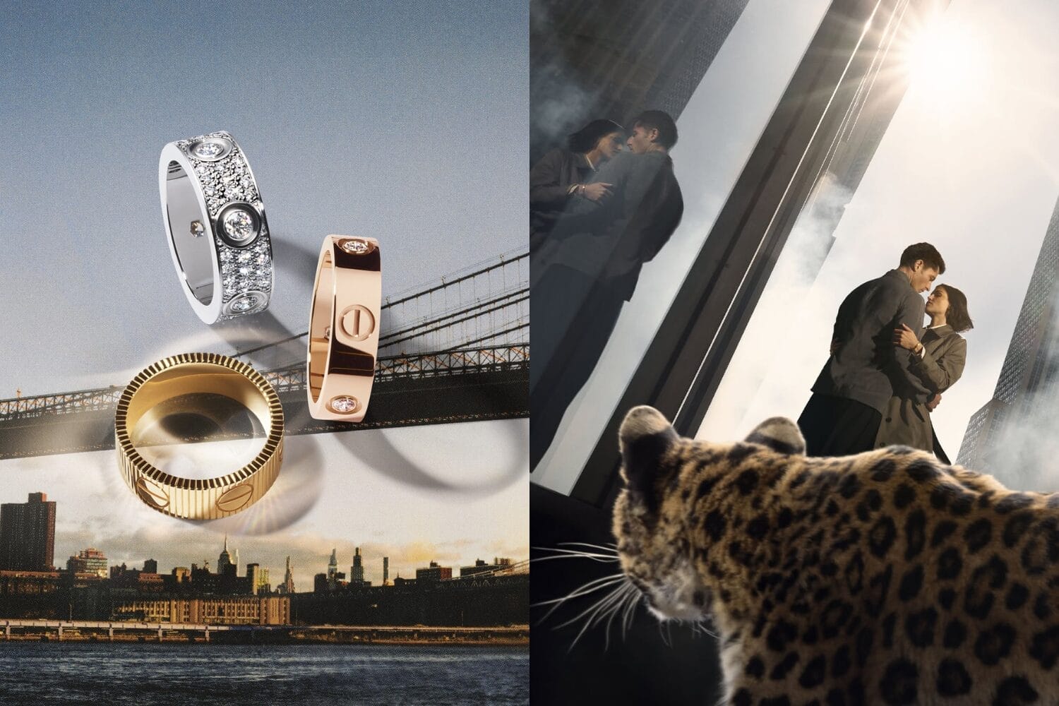 Cartier LOVE 卡地亚与爱：一场无止境的爱恋故事
