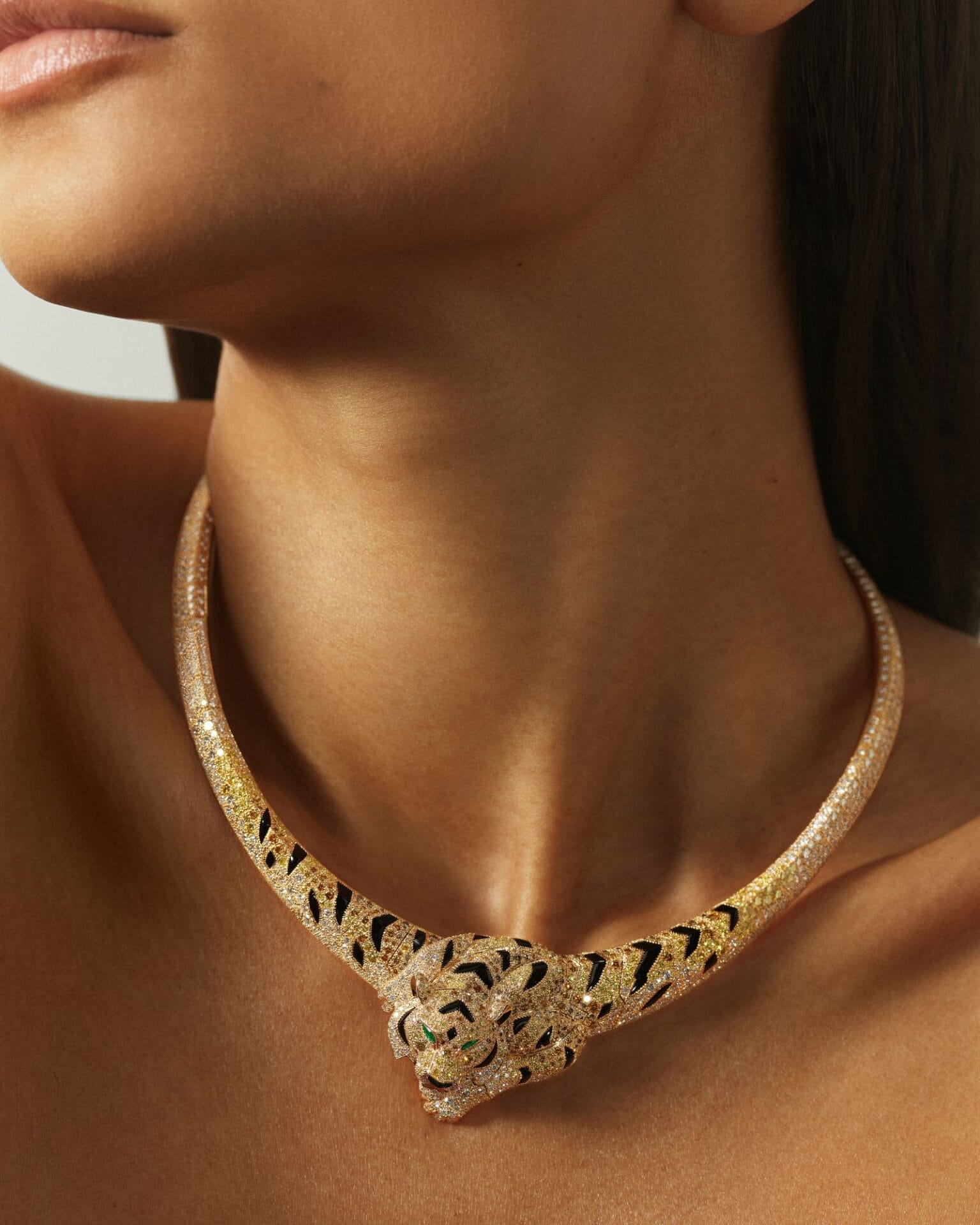 cartier fauna wild world 1