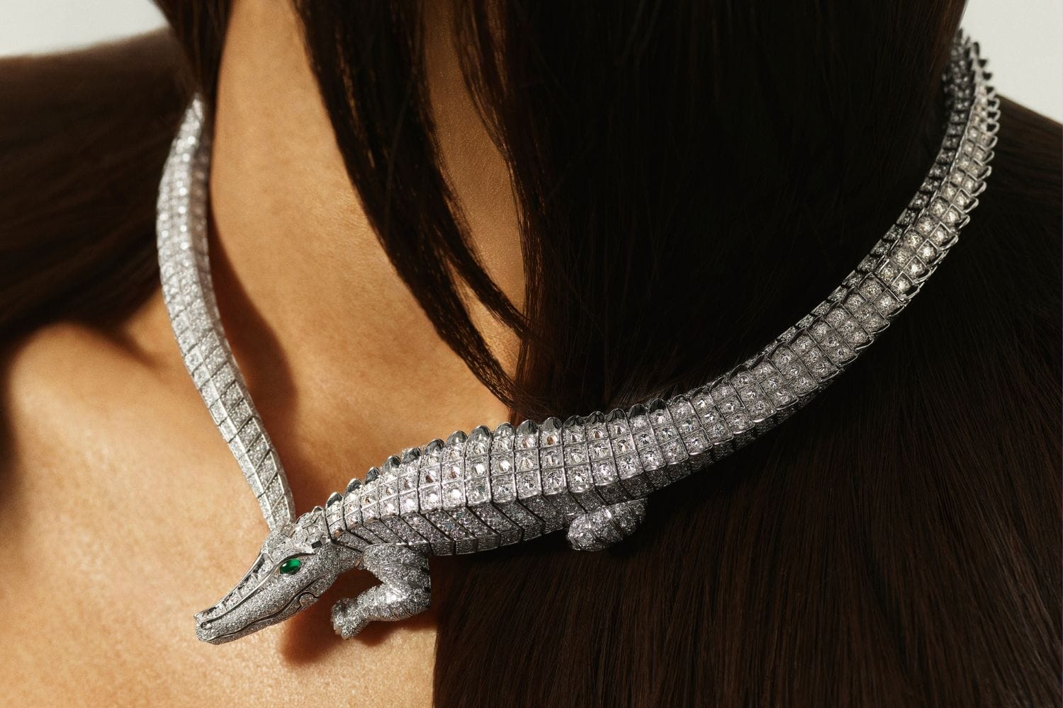 cartier fauna wild world