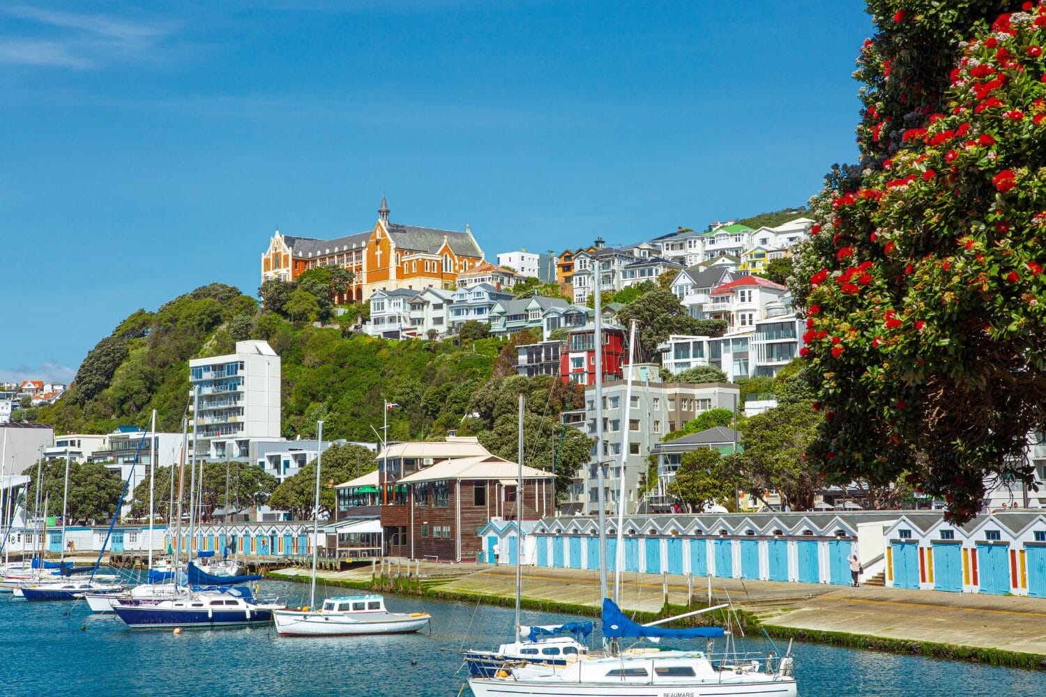 Protected: New Zealand 为旅者而设的城市漫步