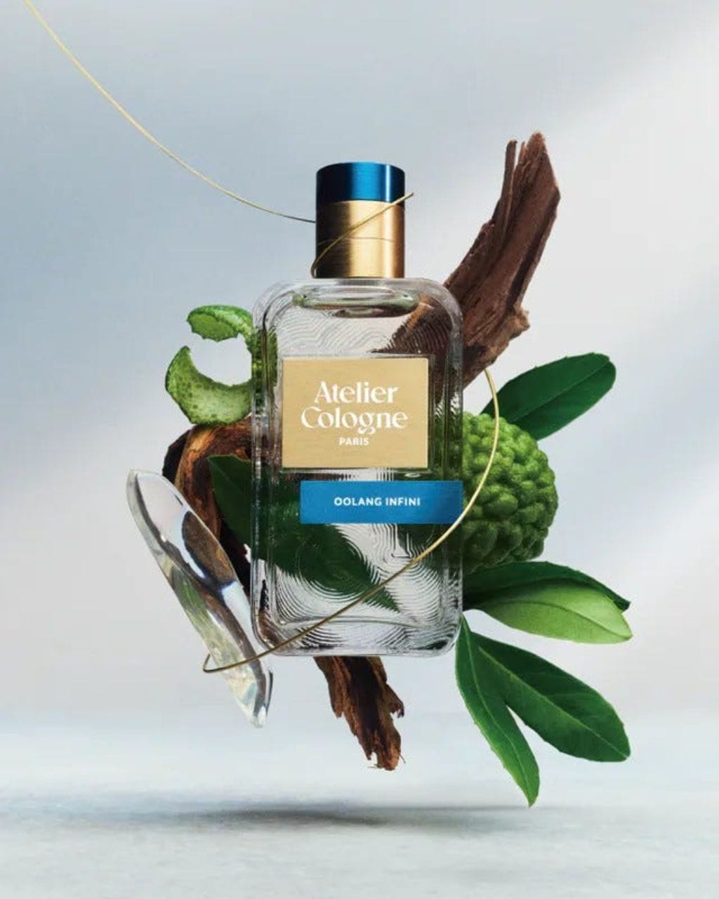 9 best unisex perfumes