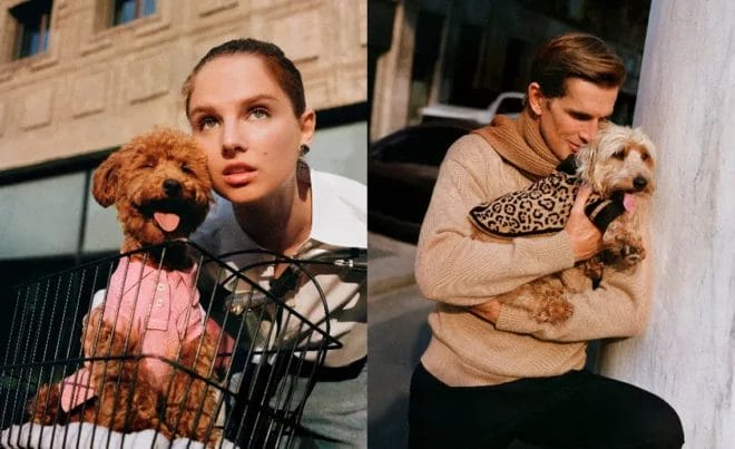 Luxury Pet Accessories